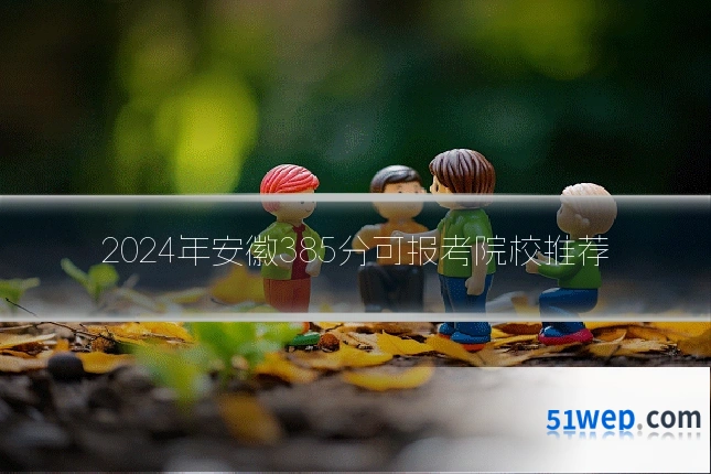 2024年安徽385分可报考院校推荐