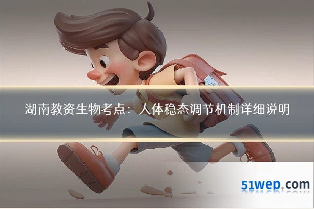 湖南教资生物考点:人体稳态调节机制详细说明