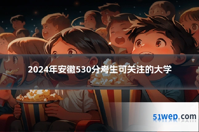 2024年安徽530分考生可关注的大学