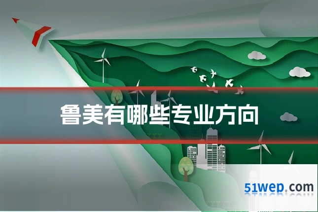 鲁美有哪些专业方向