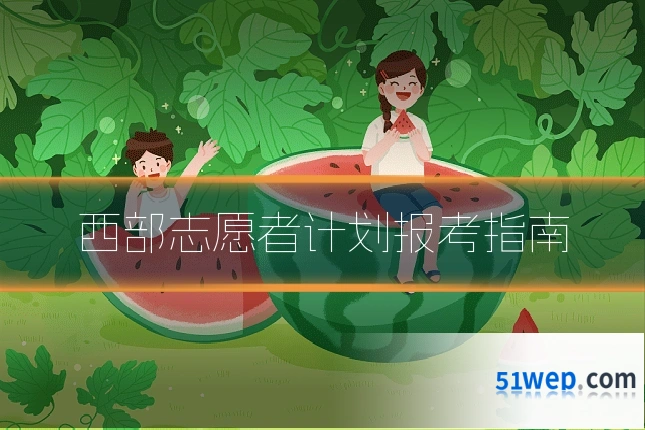 西部志愿者计划报考指南