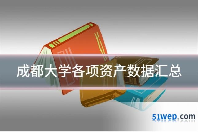 成都大学各项资产数据汇总
