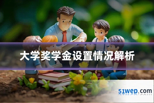 大学奖学金设置情况解析