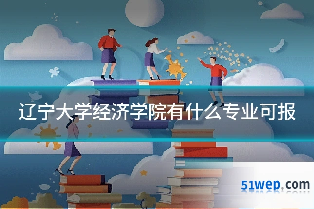 辽宁大学经济学院有什么专业可报