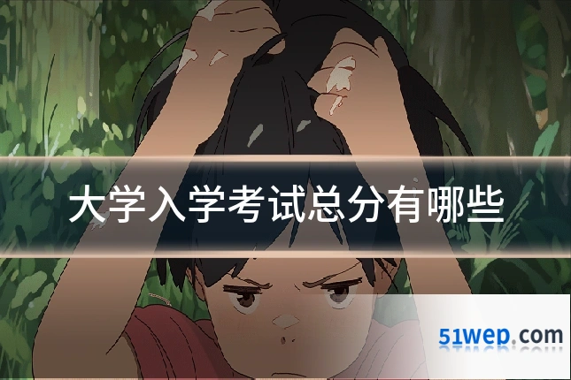 大学入学考试总分有哪些