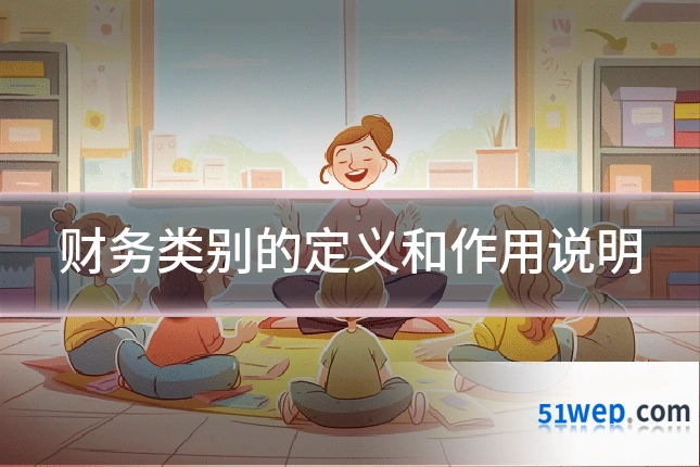 财务类别的定义和作用说明