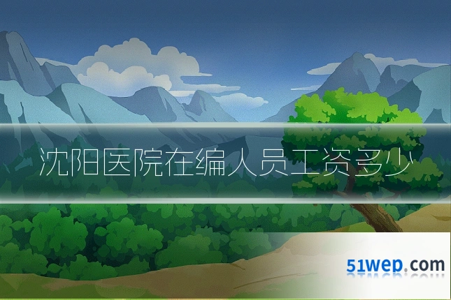 沈阳医院在编人员工资多少
