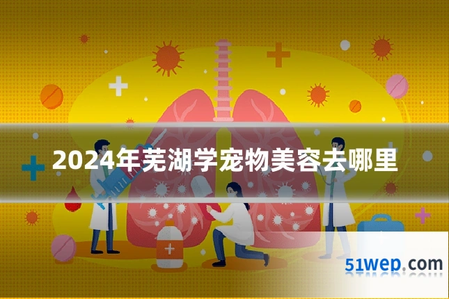 2024年芜湖学宠物美容去哪里