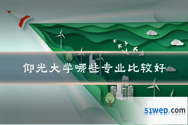 仰光大学哪些专业比较好