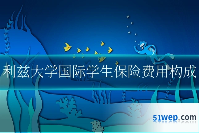 利兹大学国际学生保险费用构成