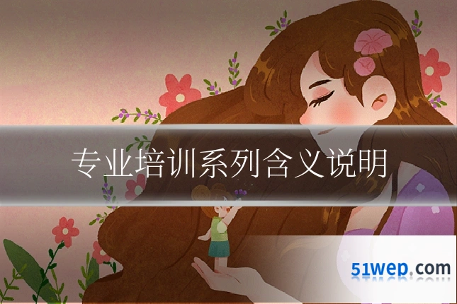 专业培训系列含义说明