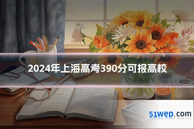 2024年上海高考390分可报高校