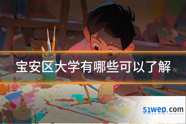宝安区大学有哪些可以了解