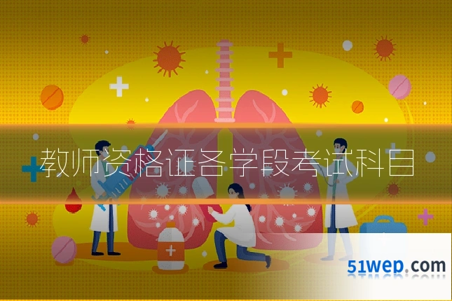 教师资格证各学段考试科目