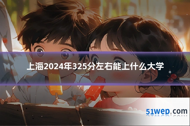 上海2024年325分左右能上什么大学