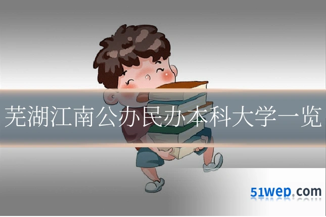 芜湖江南公办民办本科大学一览