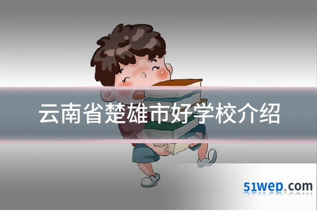 云南省楚雄市好学校介绍