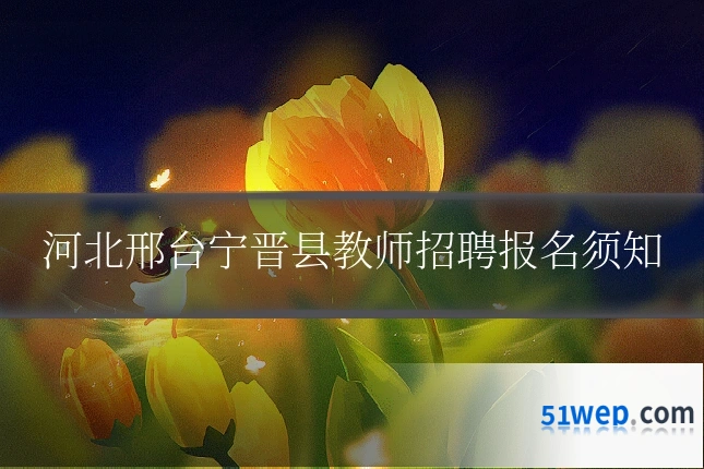 河北邢台宁晋县教师招聘报名须知