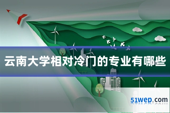 云南大学相对冷门的专业有哪些