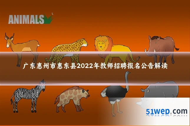 广东惠州市惠东县2022年教师招聘报名公告解读