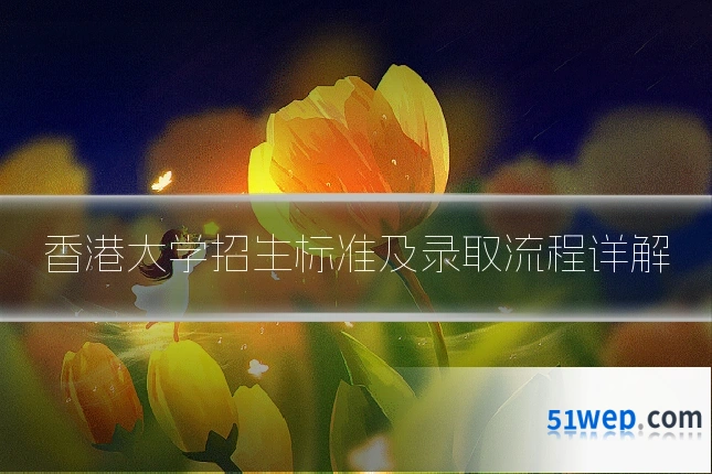香港大学招生标准及录取流程详解