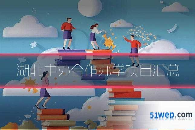 湖北中外合作办学项目汇总