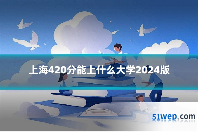 上海420分能上什么大学2024版