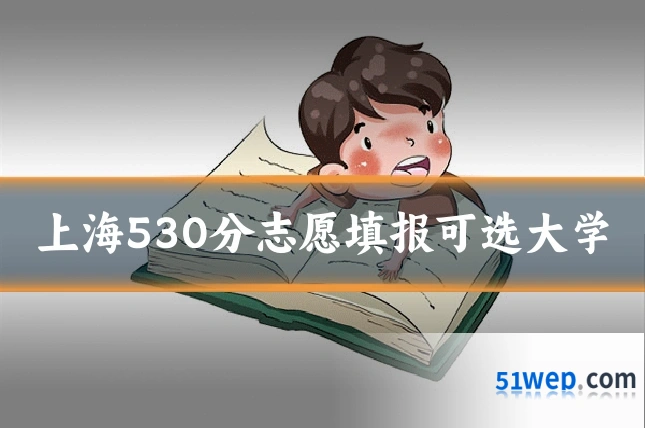 上海530分志愿填报可选大学
