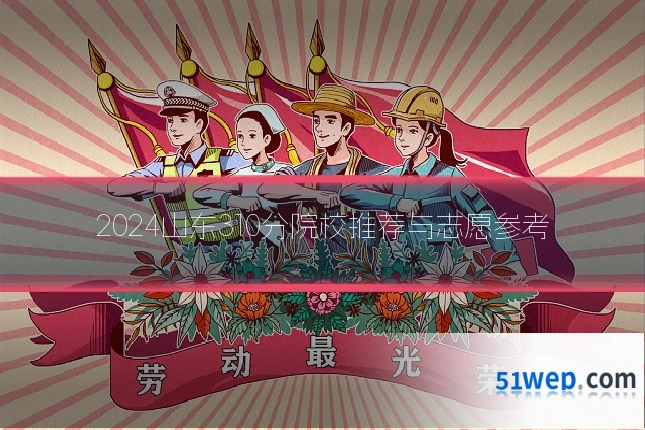 2024山东310分院校推荐与志愿参考