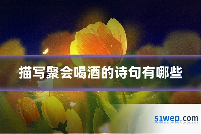 描写聚会喝酒的诗句有哪些