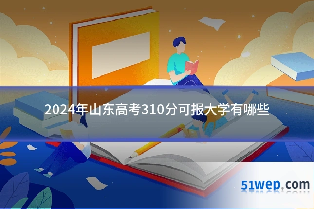 2024年山东高考310分可报大学有哪些