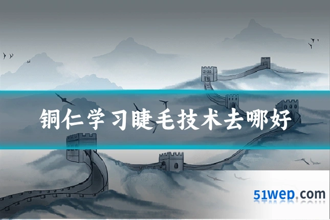 铜仁学习睫毛技术去哪好