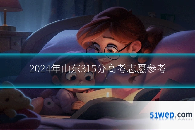 2024年山东315分高考志愿参考