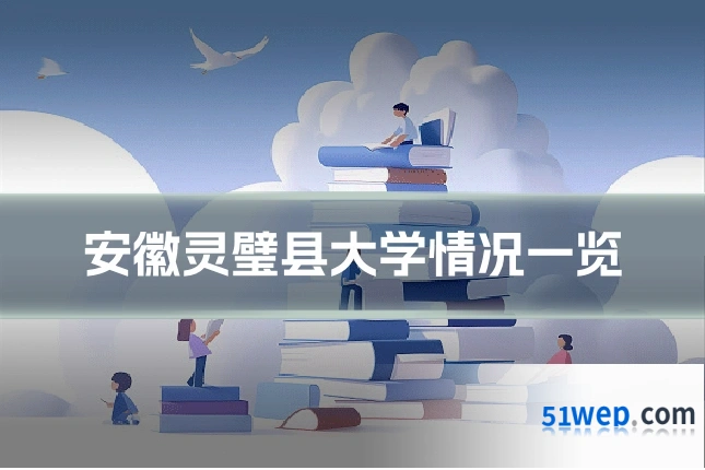 安徽灵璧县大学情况一览