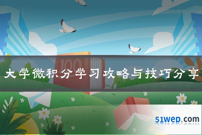 大学微积分学习攻略与技巧分享