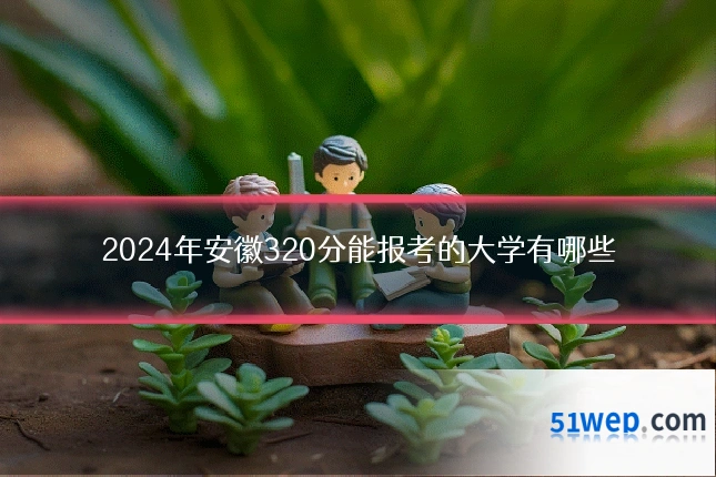 2024年安徽320分能报考的大学有哪些