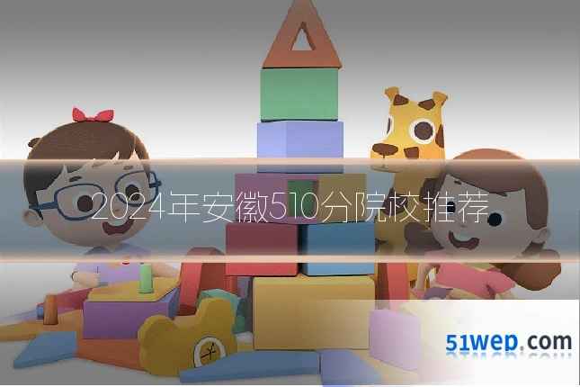 2024年安徽510分院校推荐
