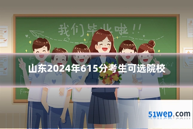 山东2024年615分考生可选院校