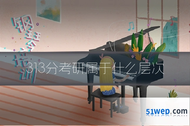 313分考研属于什么层次