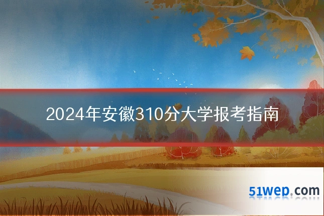 2024年安徽310分大学报考指南