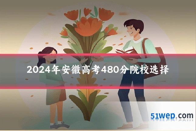 2024年安徽高考480分院校选择
