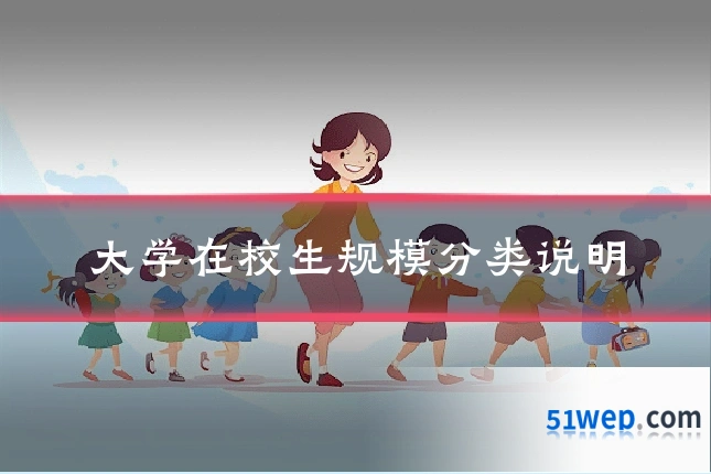 大学在校生规模分类说明