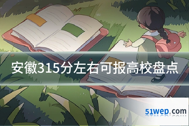 安徽315分左右可报高校盘点