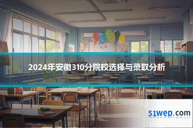 2024年安徽310分院校选择与录取分析