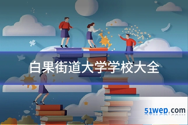 白果街道大学学校大全