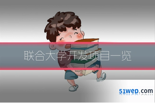 联合大学开发项目一览