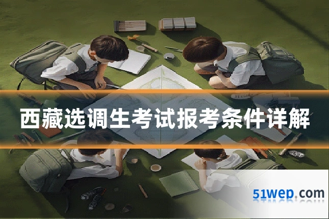 西藏选调生考试报考条件详解