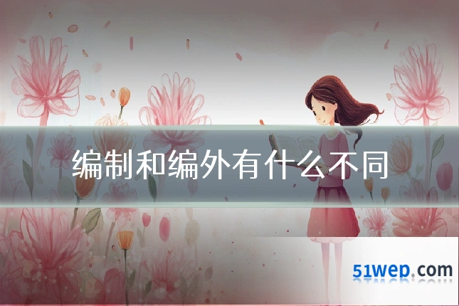 编制和编外有什么不同