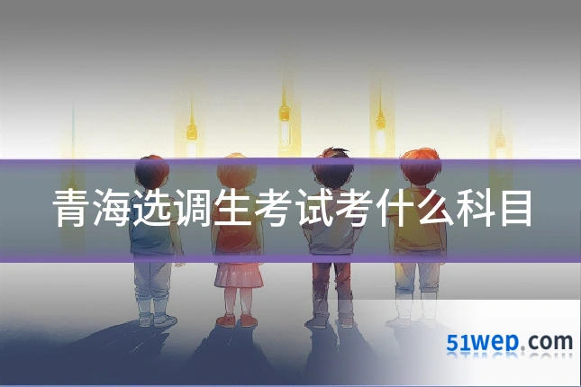 青海选调生考试考什么科目