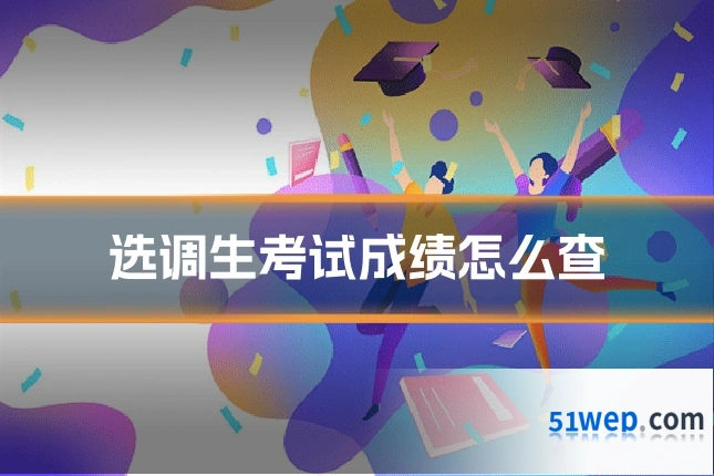 选调生考试成绩怎么查